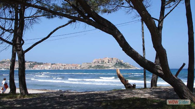 Plage de Calvi a 10 mn