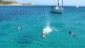 Plongee a Calvi